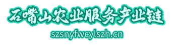 石嘴山农业服务产业链
